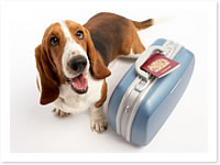 Las vacaciones son un tiempo típico de desplazamientos